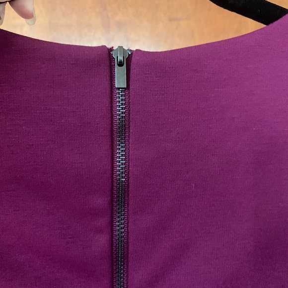 Banana Republic Plum Fitted Dress - Picture 3 of 3